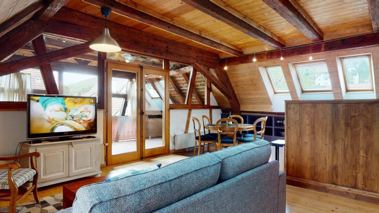 Les Appartements Manala - Turckheim Exteriör bild