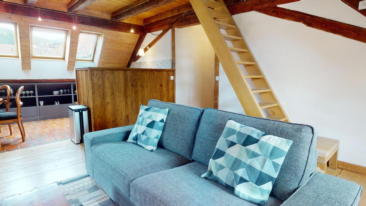 Les Appartements Manala - Turckheim Exteriör bild