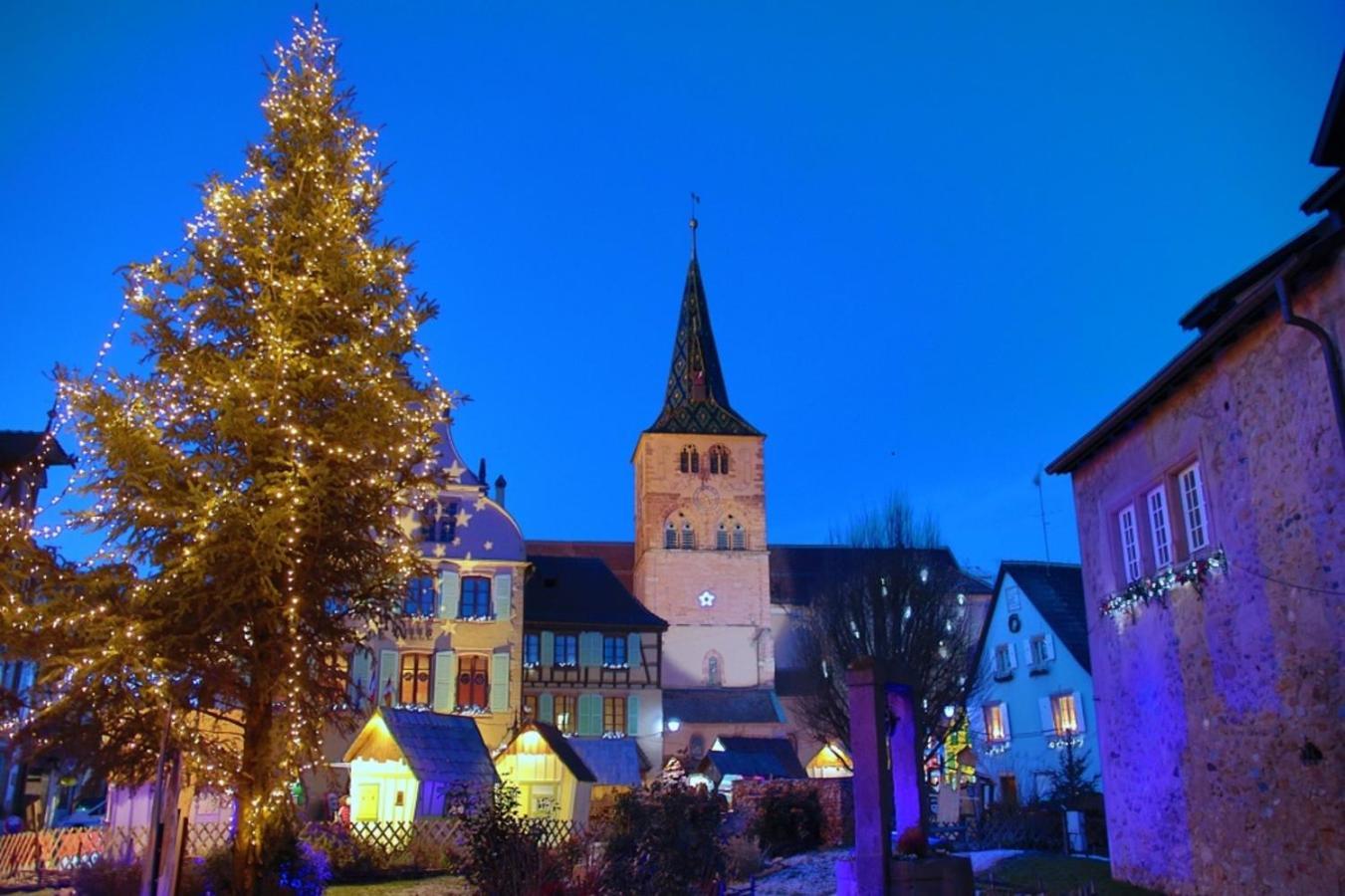 Les Appartements Manala - Turckheim Exteriör bild