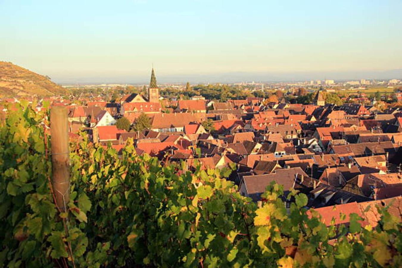 Les Appartements Manala - Turckheim Exteriör bild